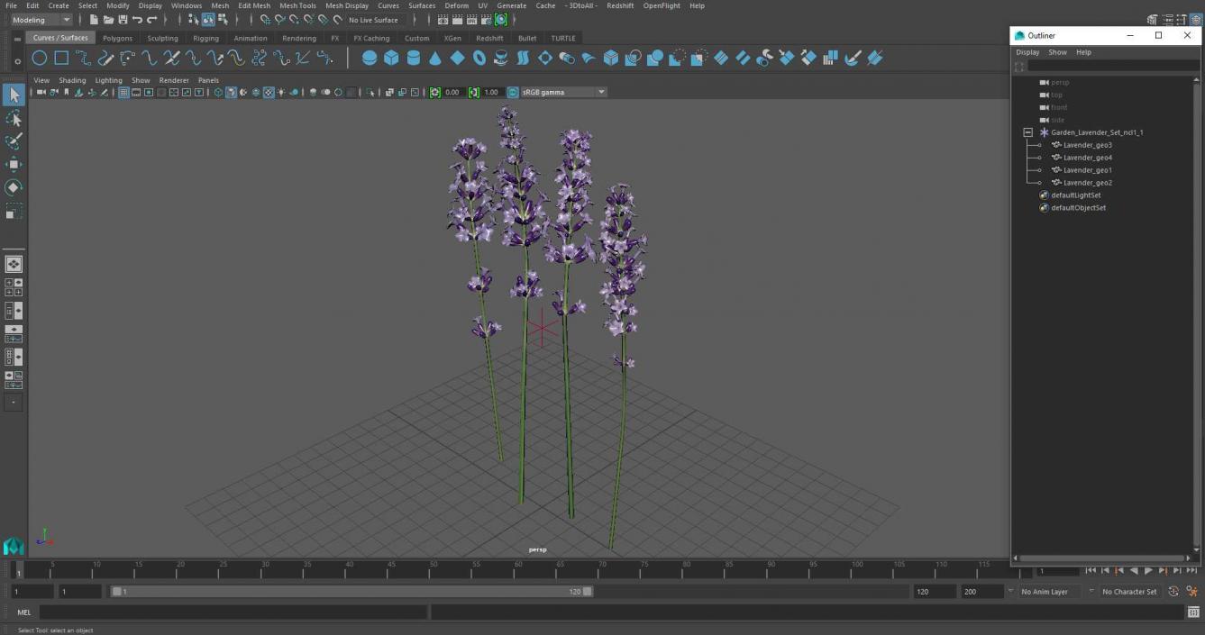 Garden Lavender Set 3D model