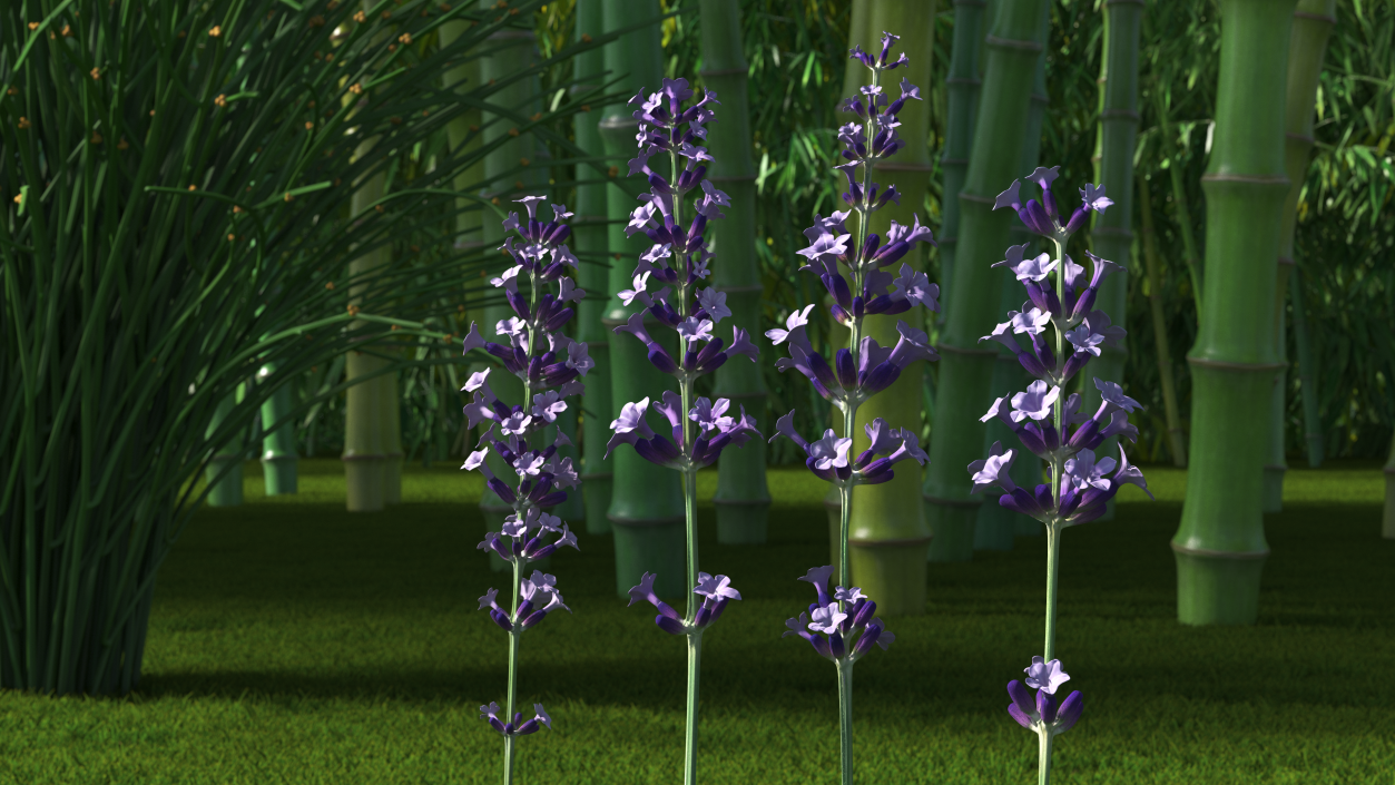 Garden Lavender Set 3D model