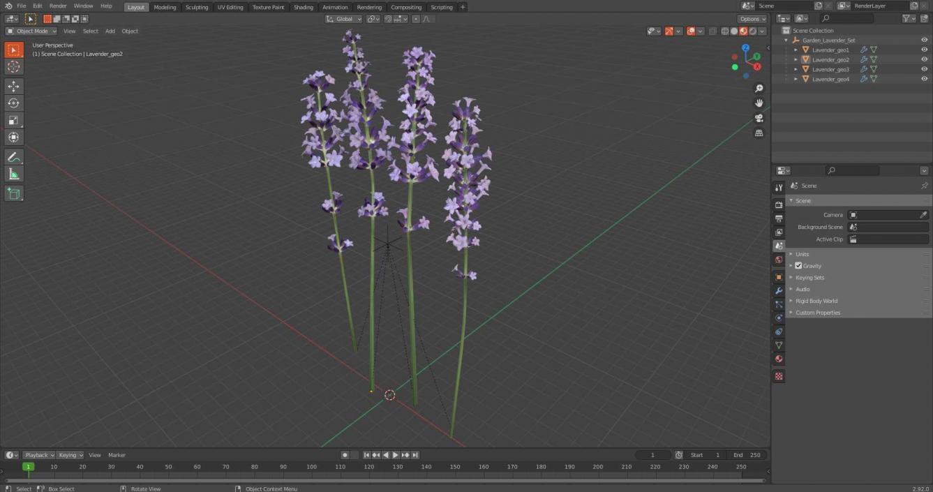 Garden Lavender Set 3D model