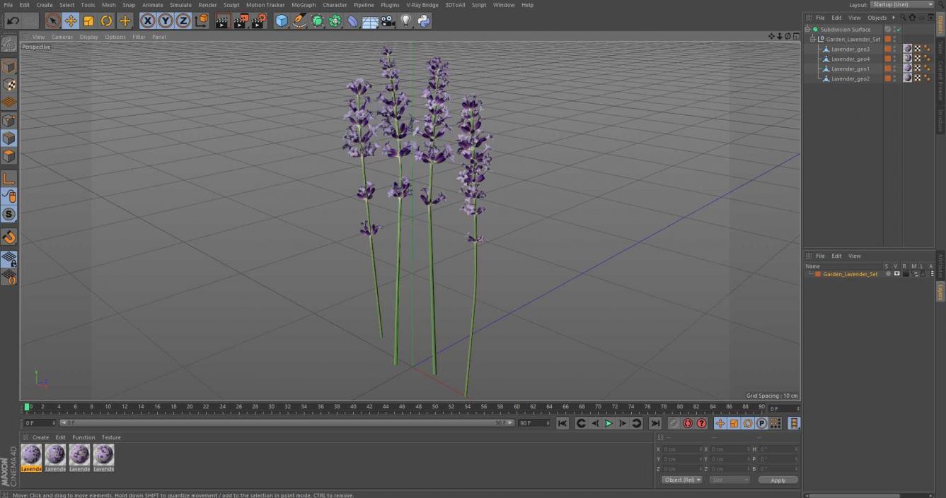 Garden Lavender Set 3D model