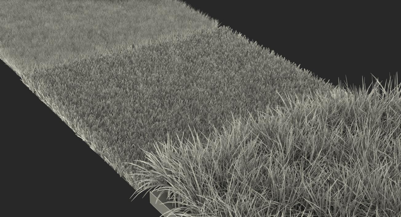 3D model Grass Fields Collection 2