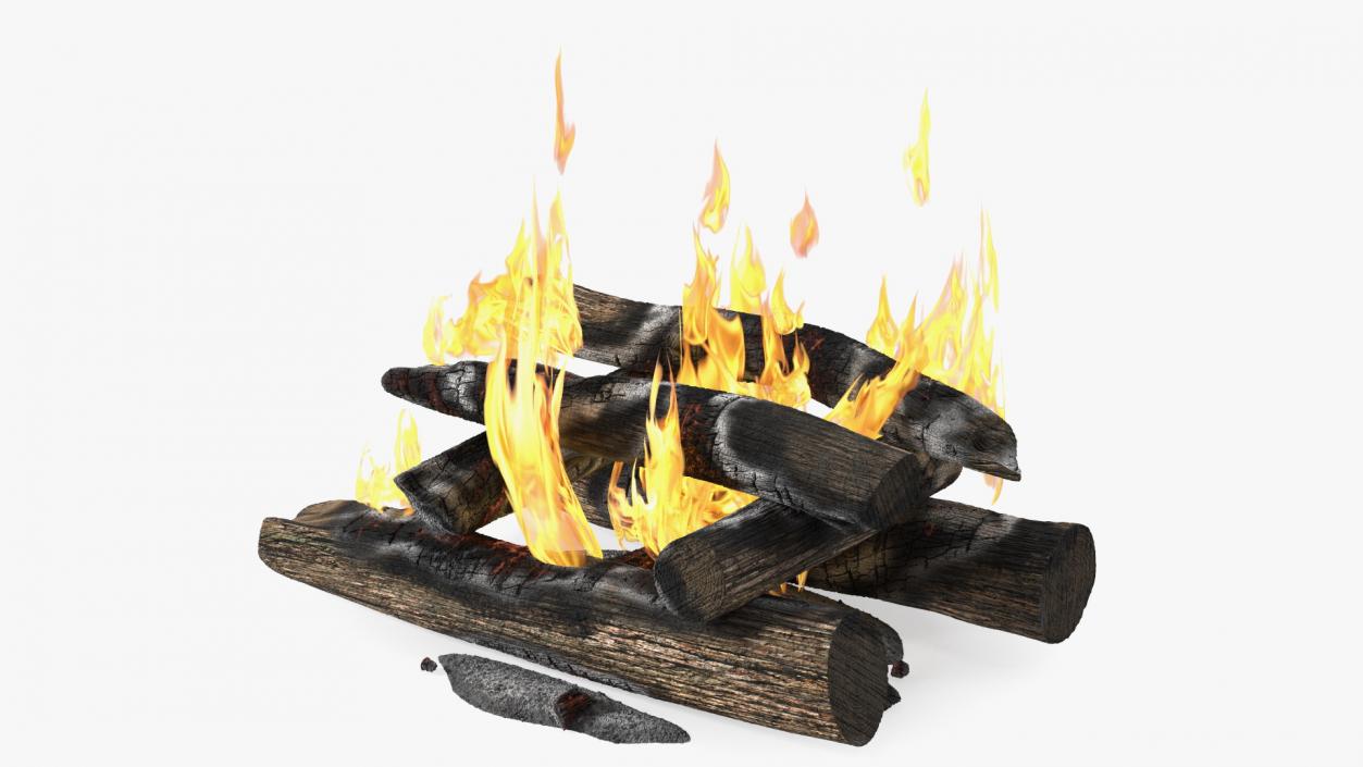 3D model Wood Fire and Embers