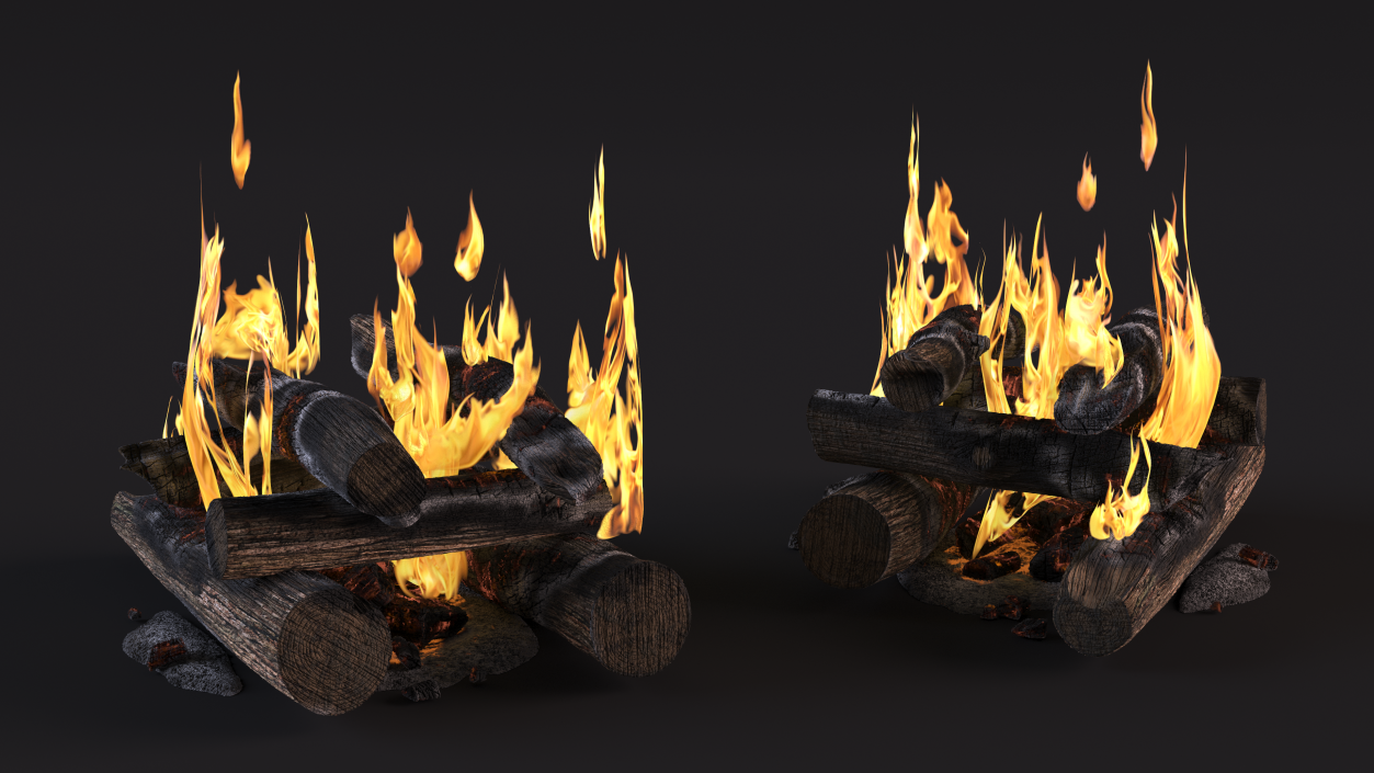 3D model Wood Fire and Embers