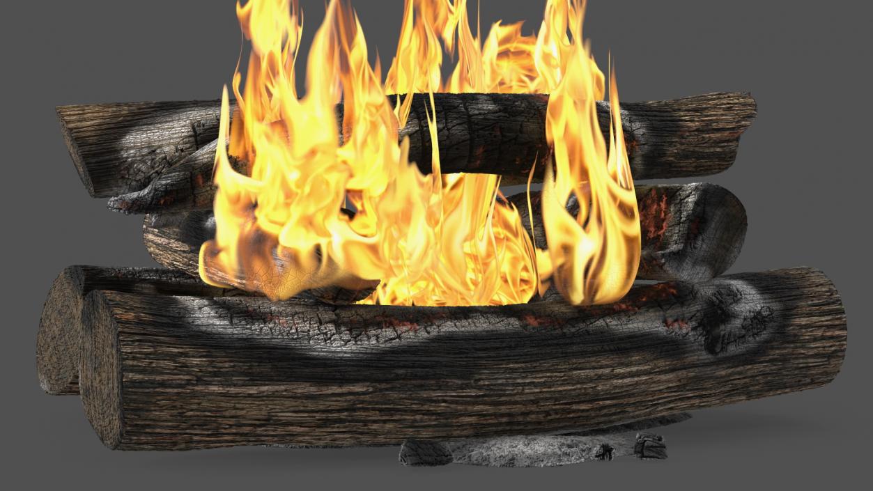 3D model Wood Fire and Embers