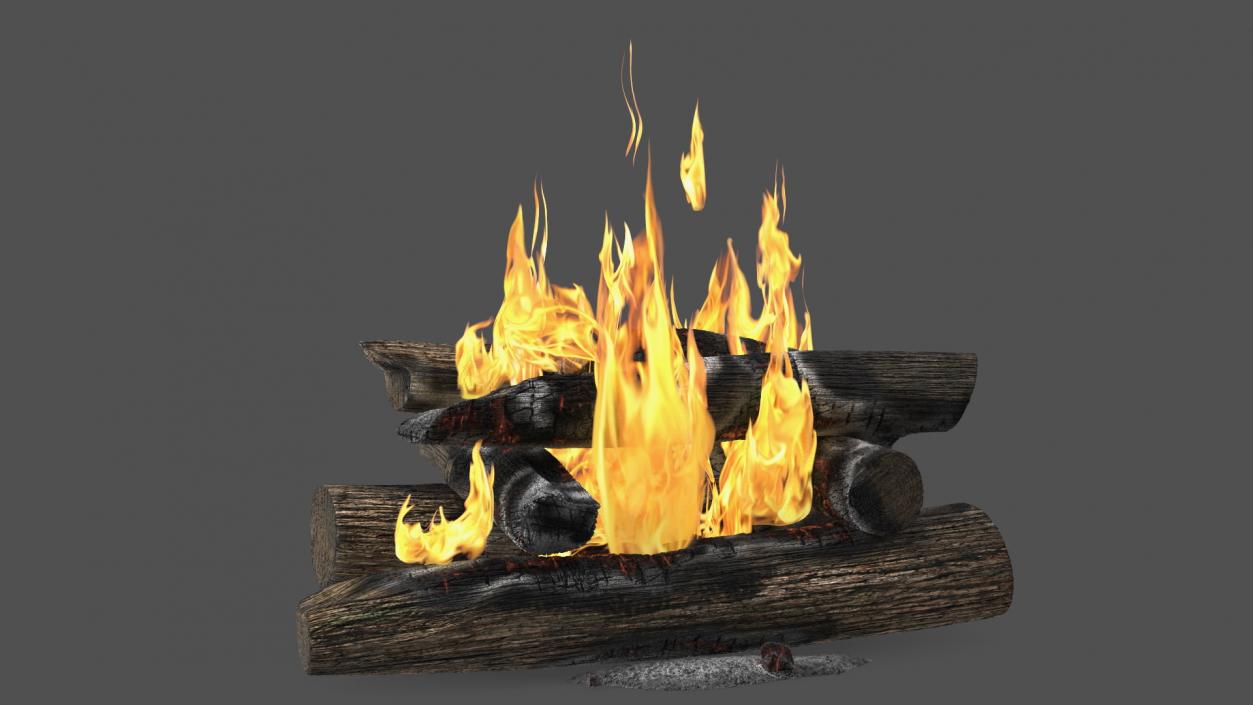 3D model Wood Fire and Embers