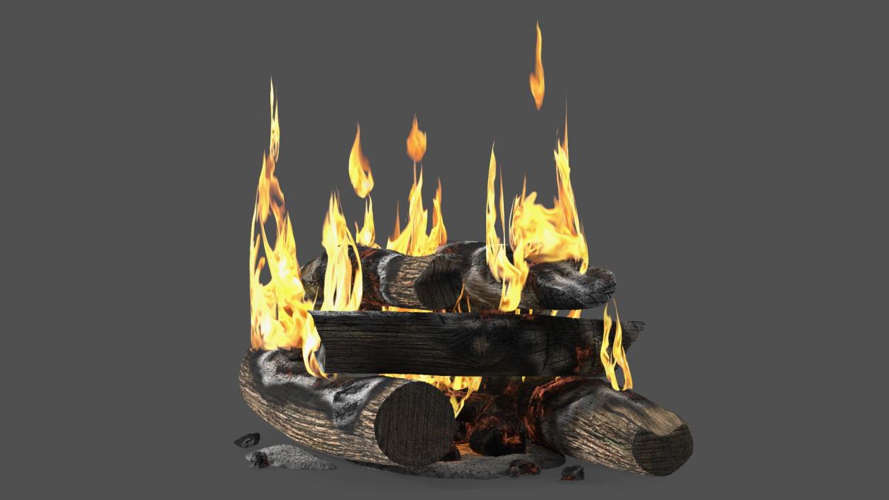 3D model Wood Fire and Embers