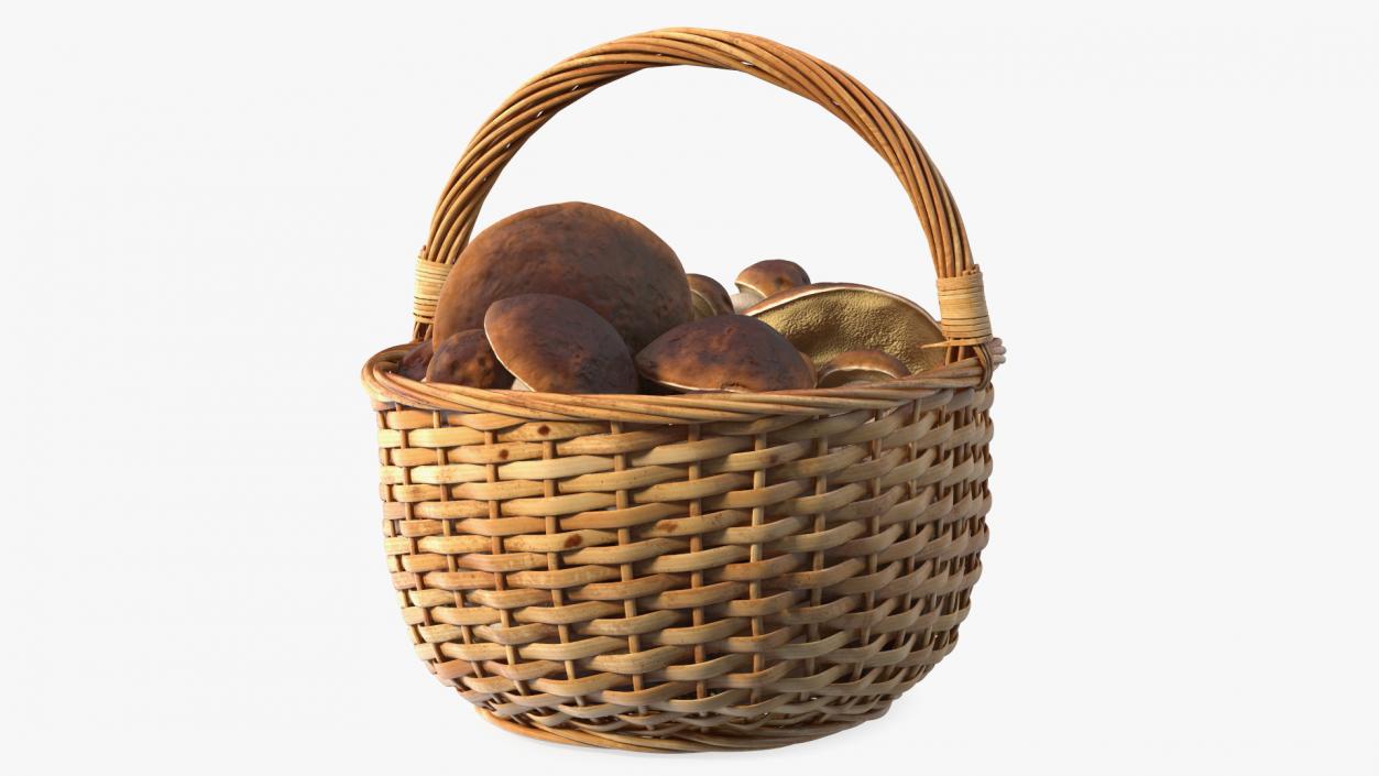 3D Straw Basket Of Porcini Mushrooms model