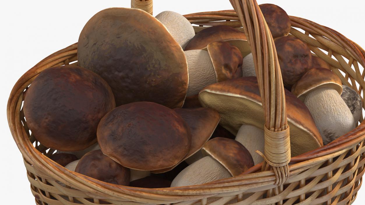 3D Straw Basket Of Porcini Mushrooms model