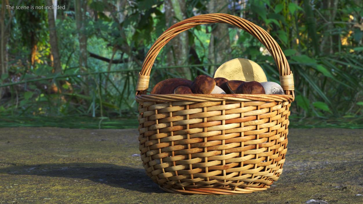 3D Straw Basket Of Porcini Mushrooms model