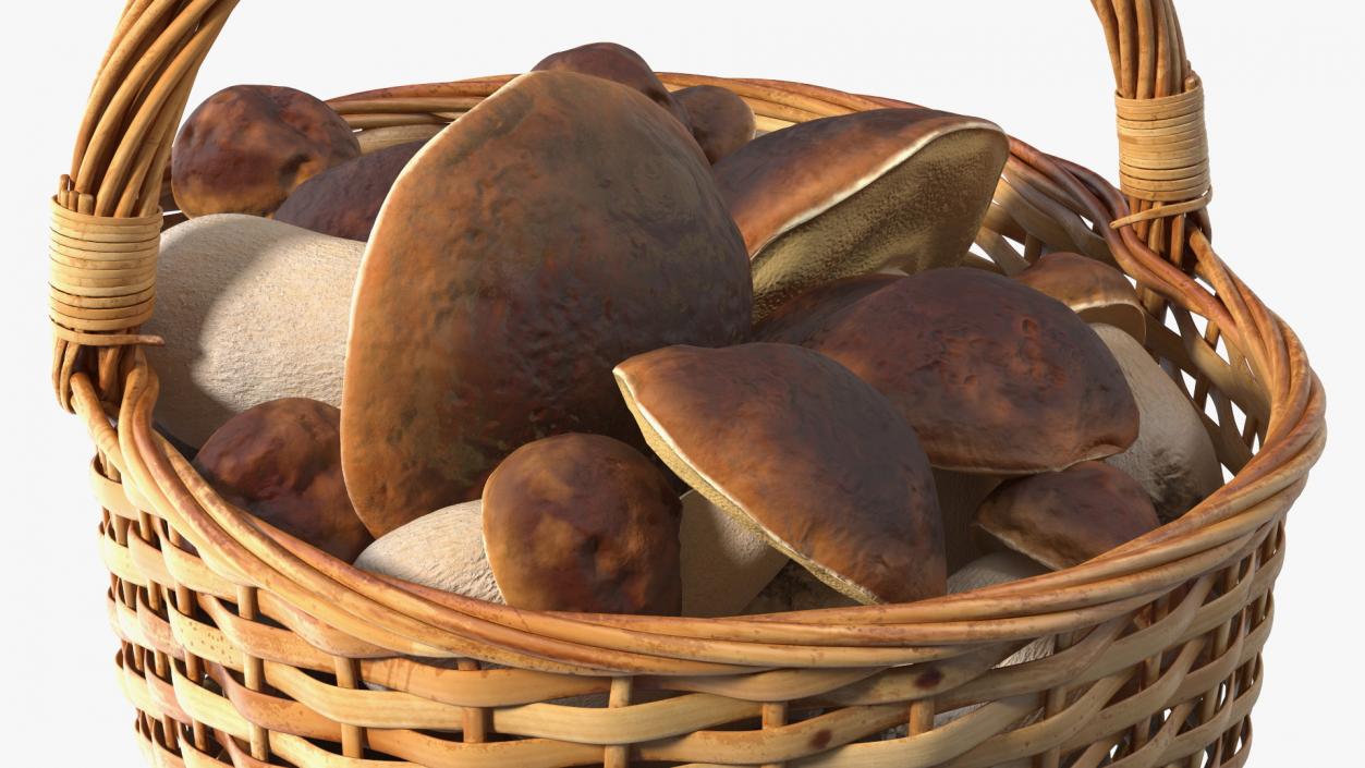 3D Straw Basket Of Porcini Mushrooms model