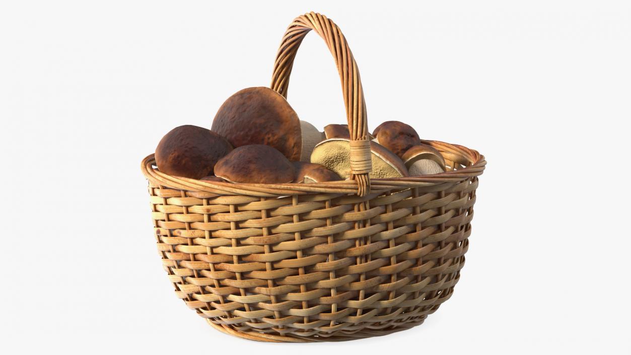 3D Straw Basket Of Porcini Mushrooms model