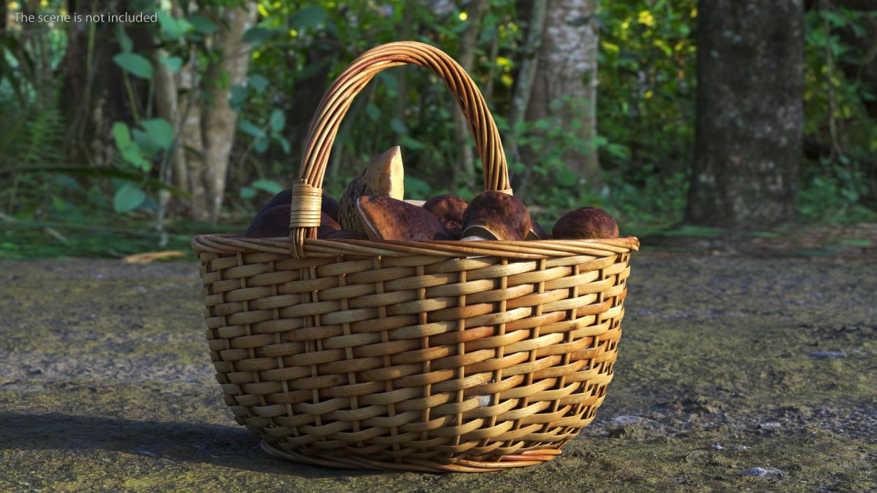 3D Straw Basket Of Porcini Mushrooms model