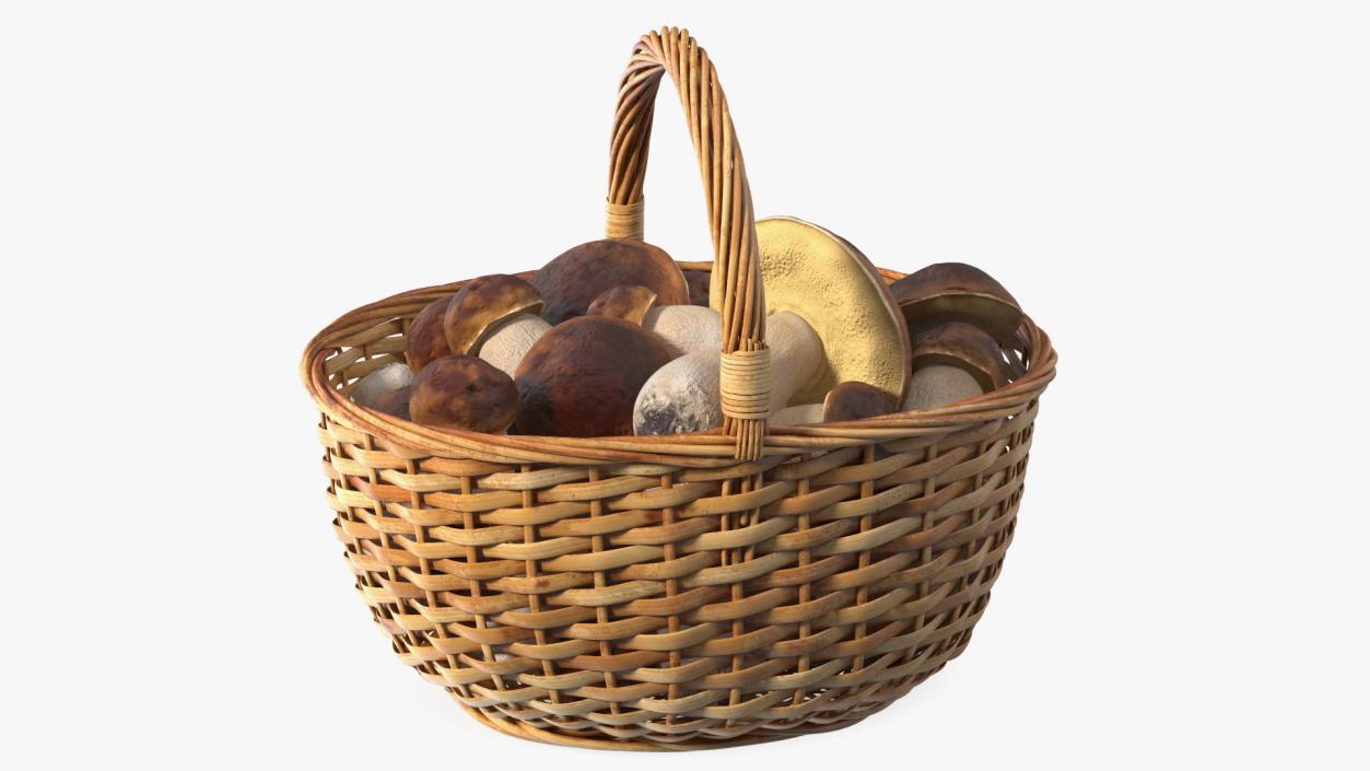 3D Straw Basket Of Porcini Mushrooms model