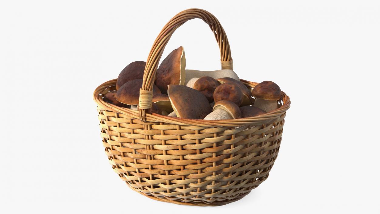 3D Straw Basket Of Porcini Mushrooms model