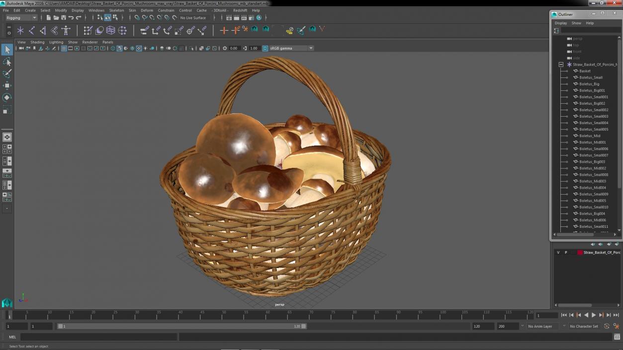 3D Straw Basket Of Porcini Mushrooms model