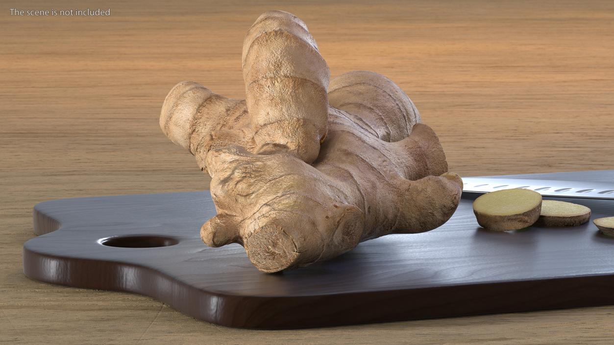 Sliced Ginger Cutting Board 3D