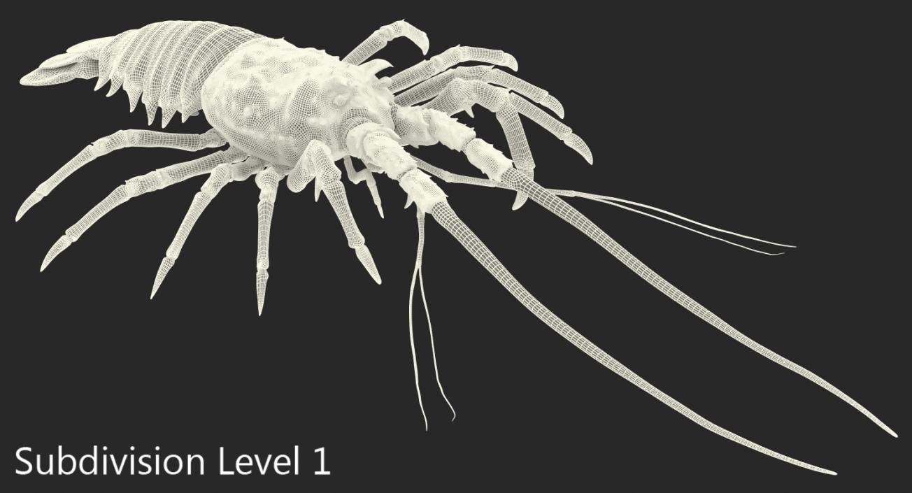 3D Langouste Rigged