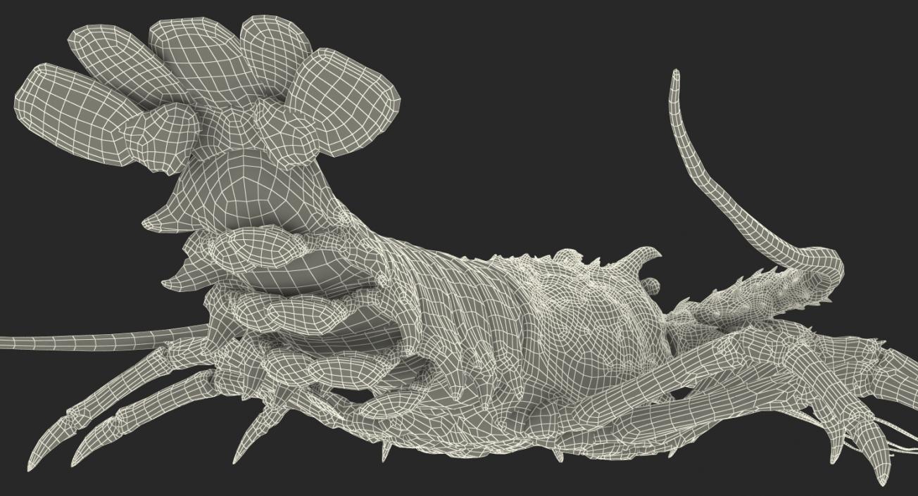 3D Langouste Rigged