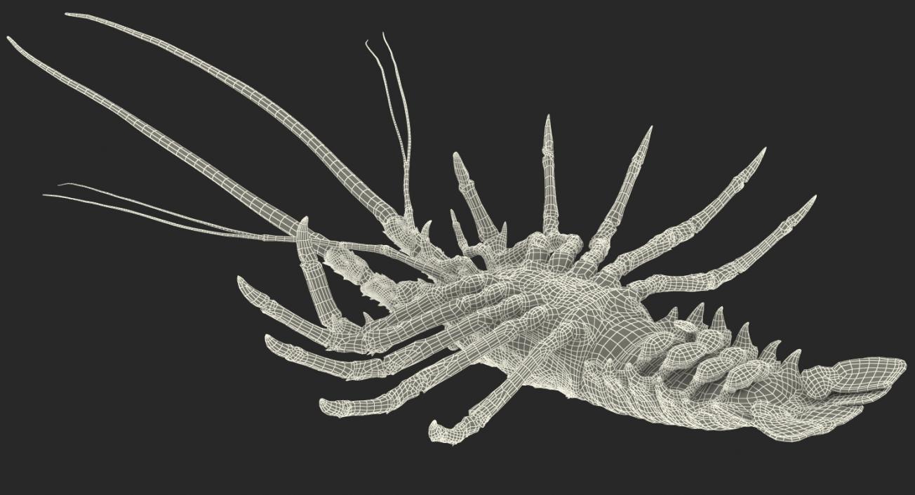 3D Langouste Rigged