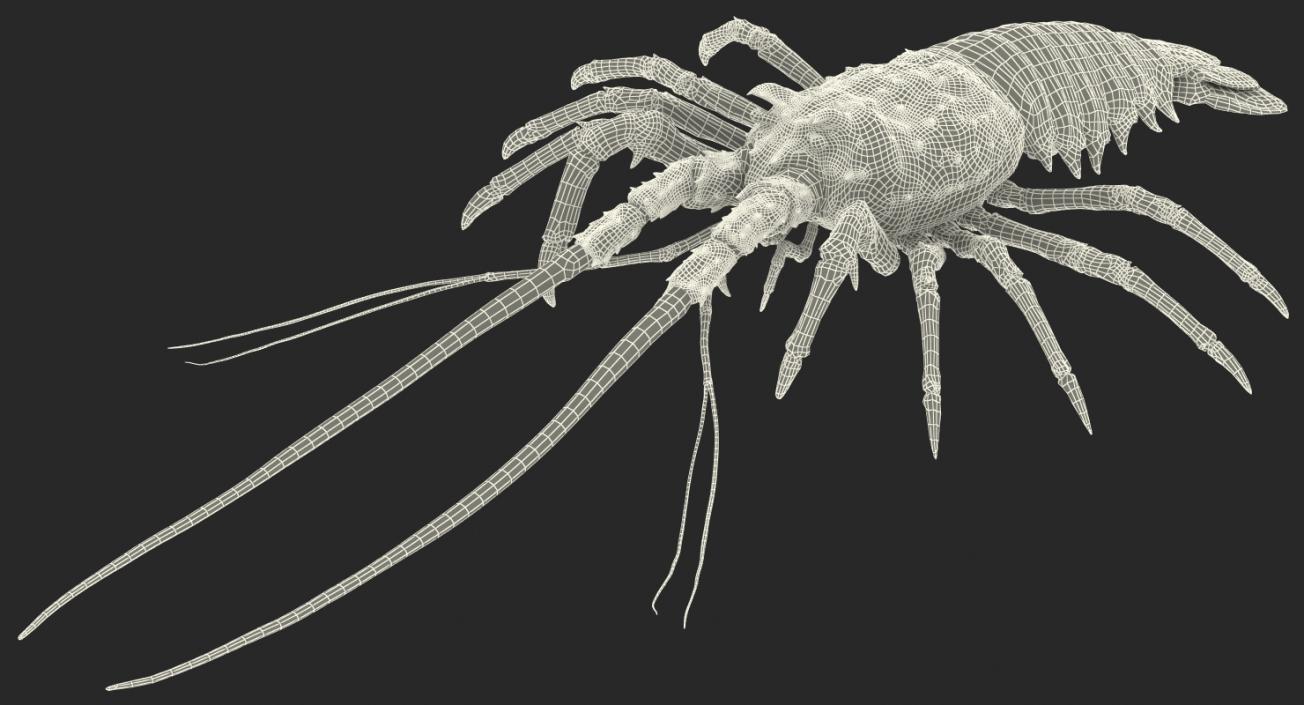 3D Langouste Rigged