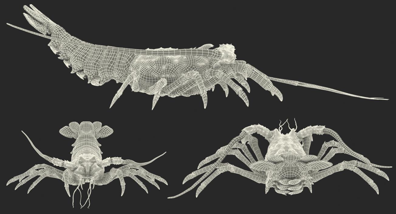 3D Langouste Rigged