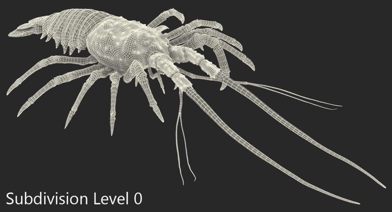 3D Langouste Rigged