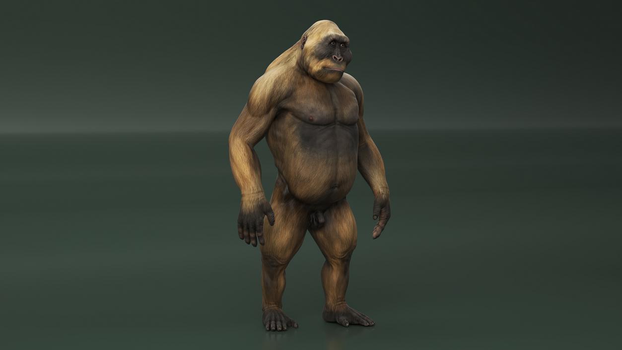 3D model Big Ape Gigantopithecus Rigged