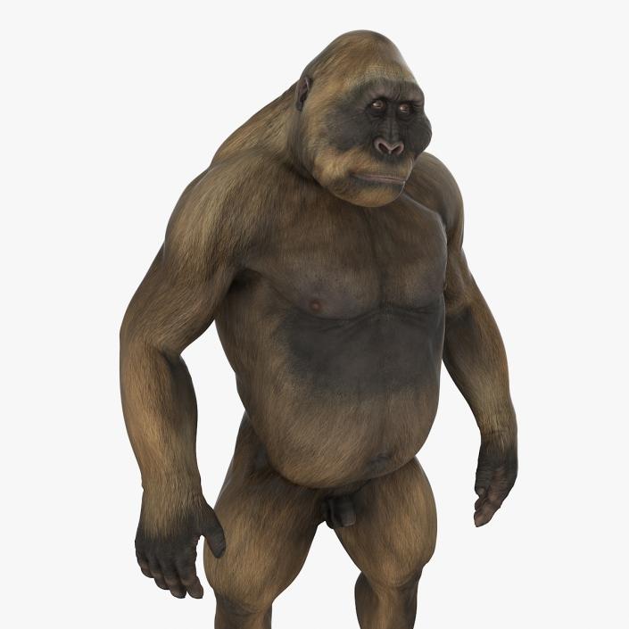 3D model Big Ape Gigantopithecus Rigged