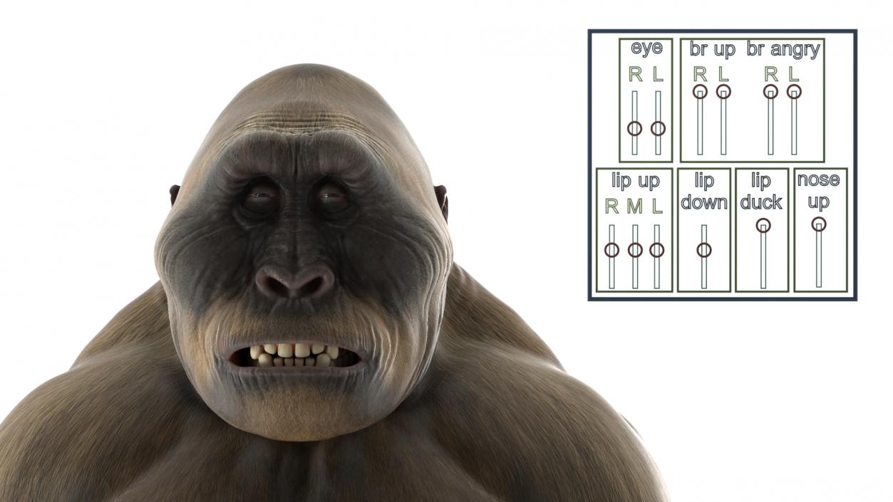 3D model Big Ape Gigantopithecus Rigged