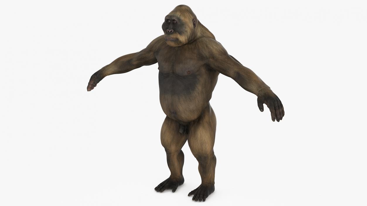 3D model Big Ape Gigantopithecus Rigged