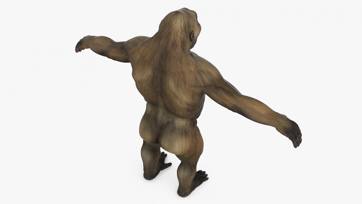 3D model Big Ape Gigantopithecus Rigged