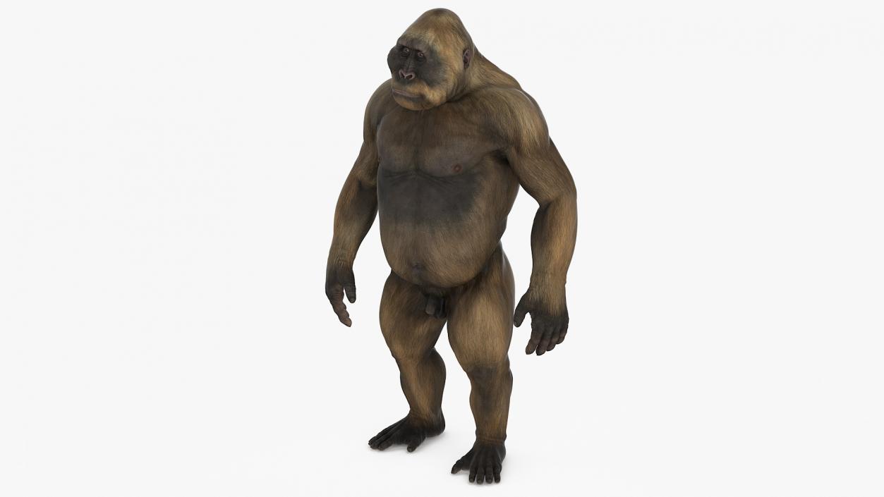 3D model Big Ape Gigantopithecus Rigged