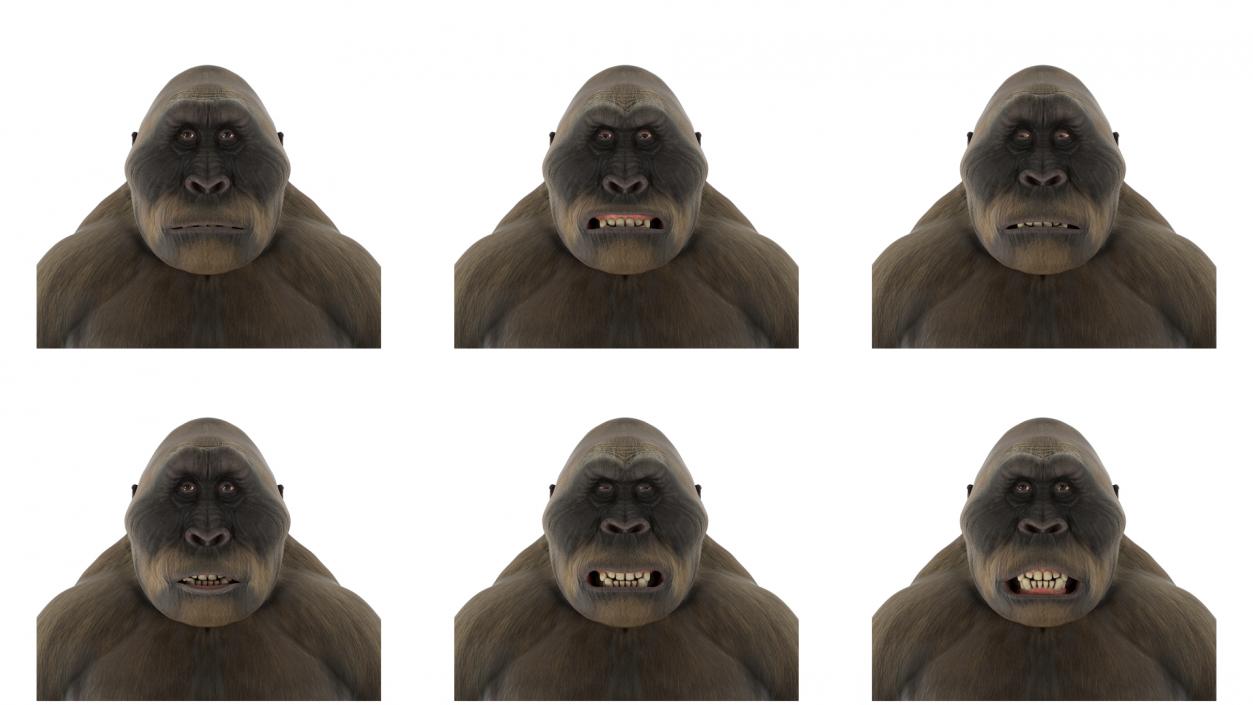 3D model Big Ape Gigantopithecus Rigged