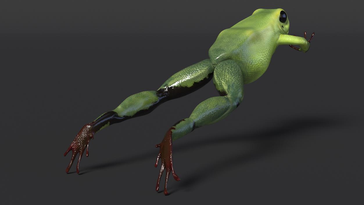 3D Green Phyllobates Terribilis Jumping Pose