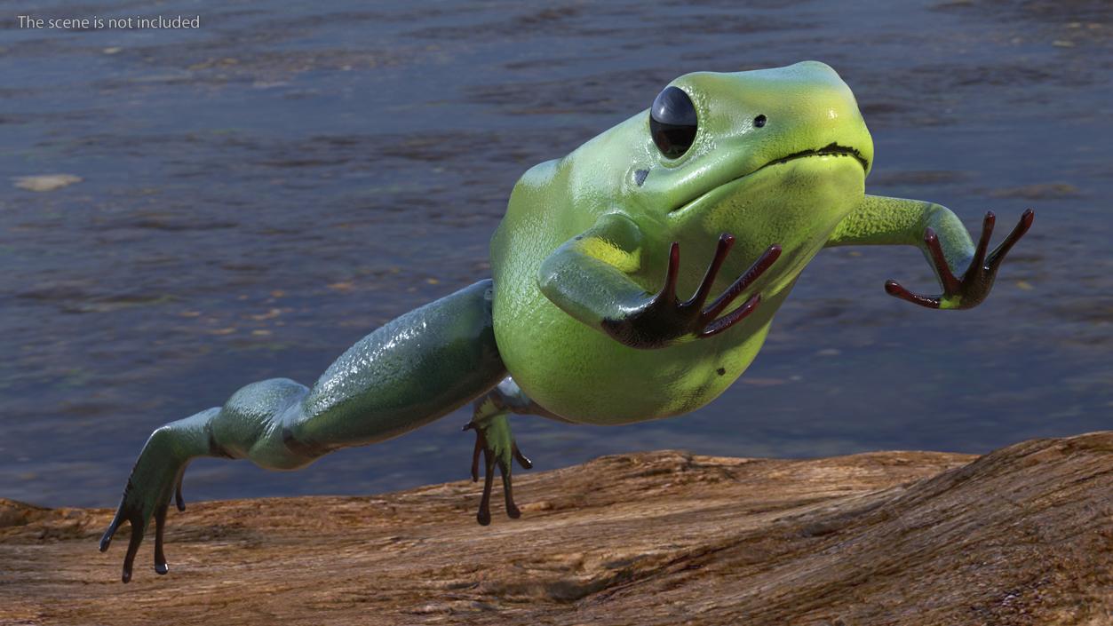 3D Green Phyllobates Terribilis Jumping Pose