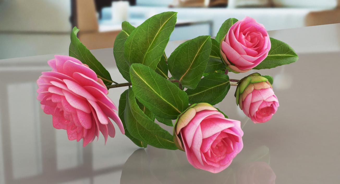 3D model Flowers 3D Models Collection 6