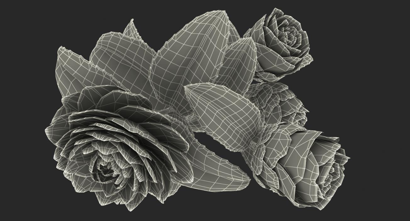 3D model Flowers 3D Models Collection 6