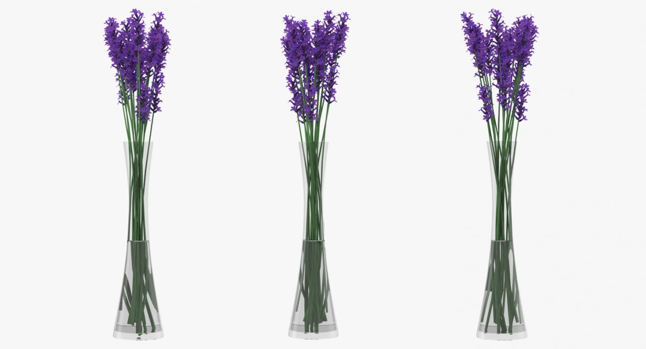 3D model Flowers 3D Models Collection 6