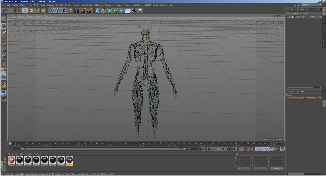 3D Female Lymphatic System Anatomy