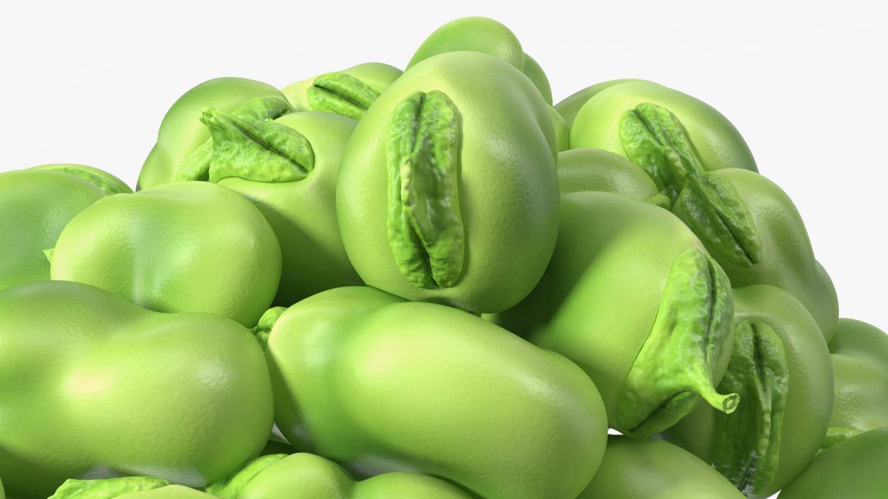 3D model Pile of Fresh Broad Beans