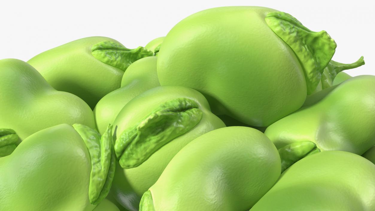 3D model Pile of Fresh Broad Beans