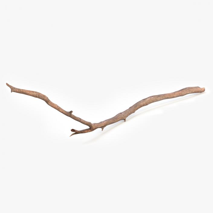 Dry Branch 2 3D