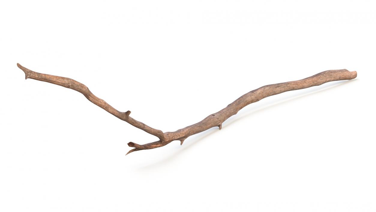 Dry Branch 2 3D