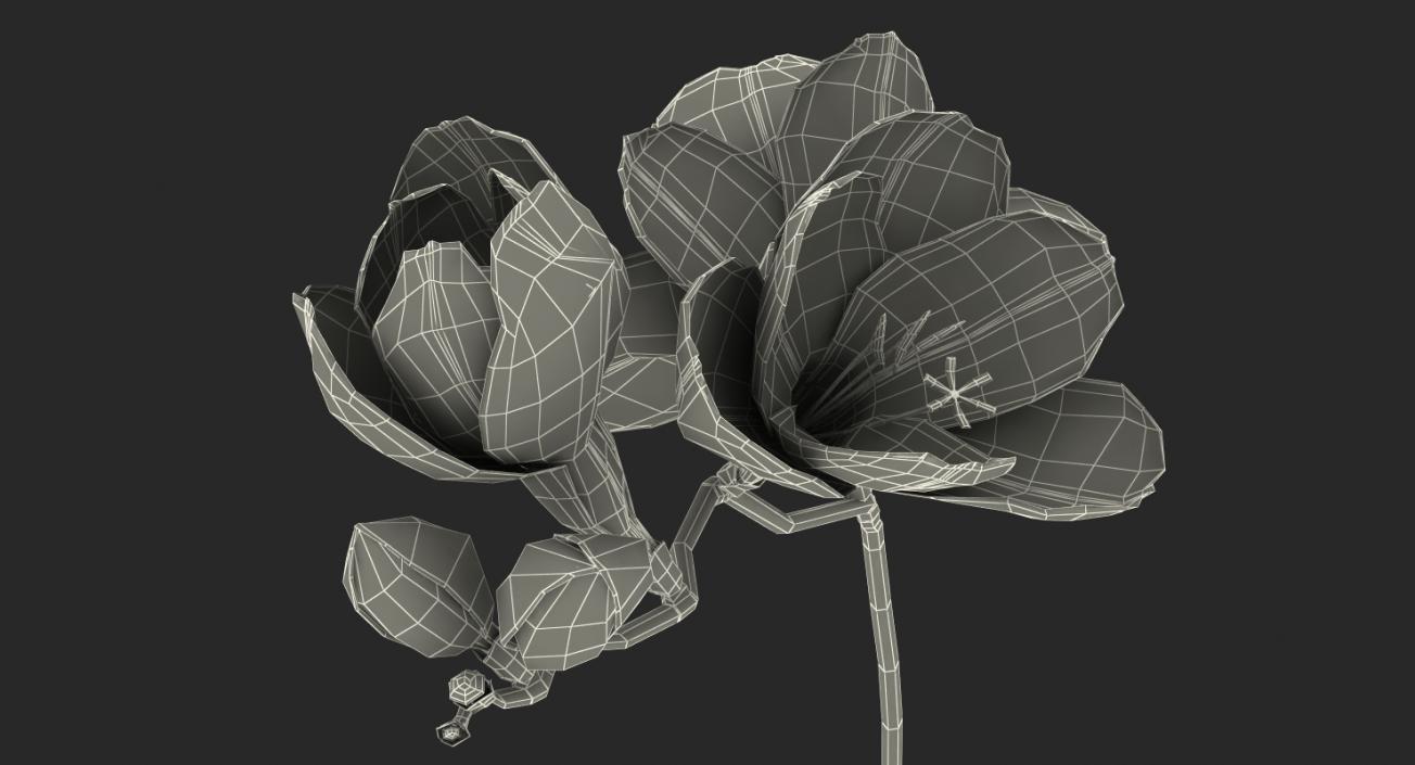 3D model Freesia Bouquet