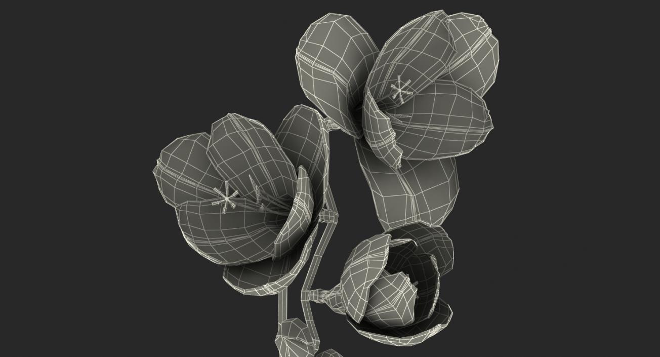 3D model Freesia Bouquet