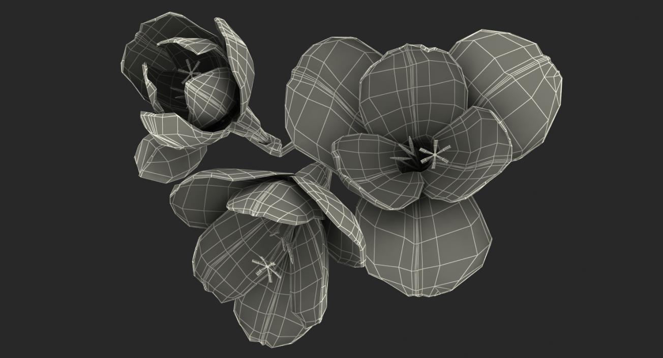 3D model Freesia Bouquet