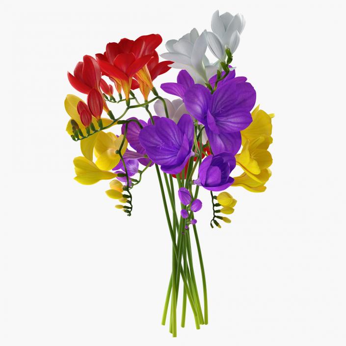 3D model Freesia Bouquet