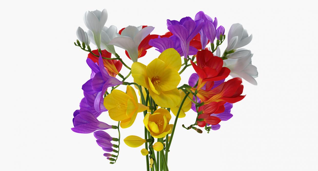 3D model Freesia Bouquet