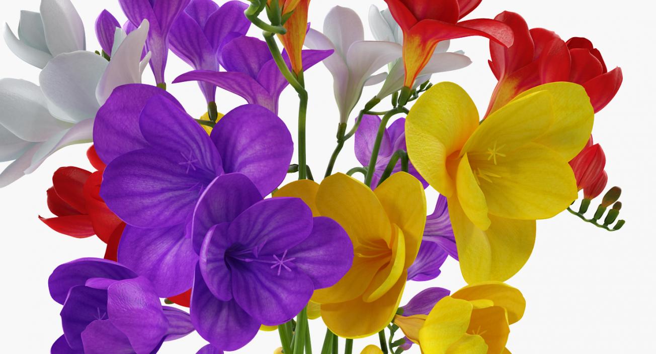 3D model Freesia Bouquet