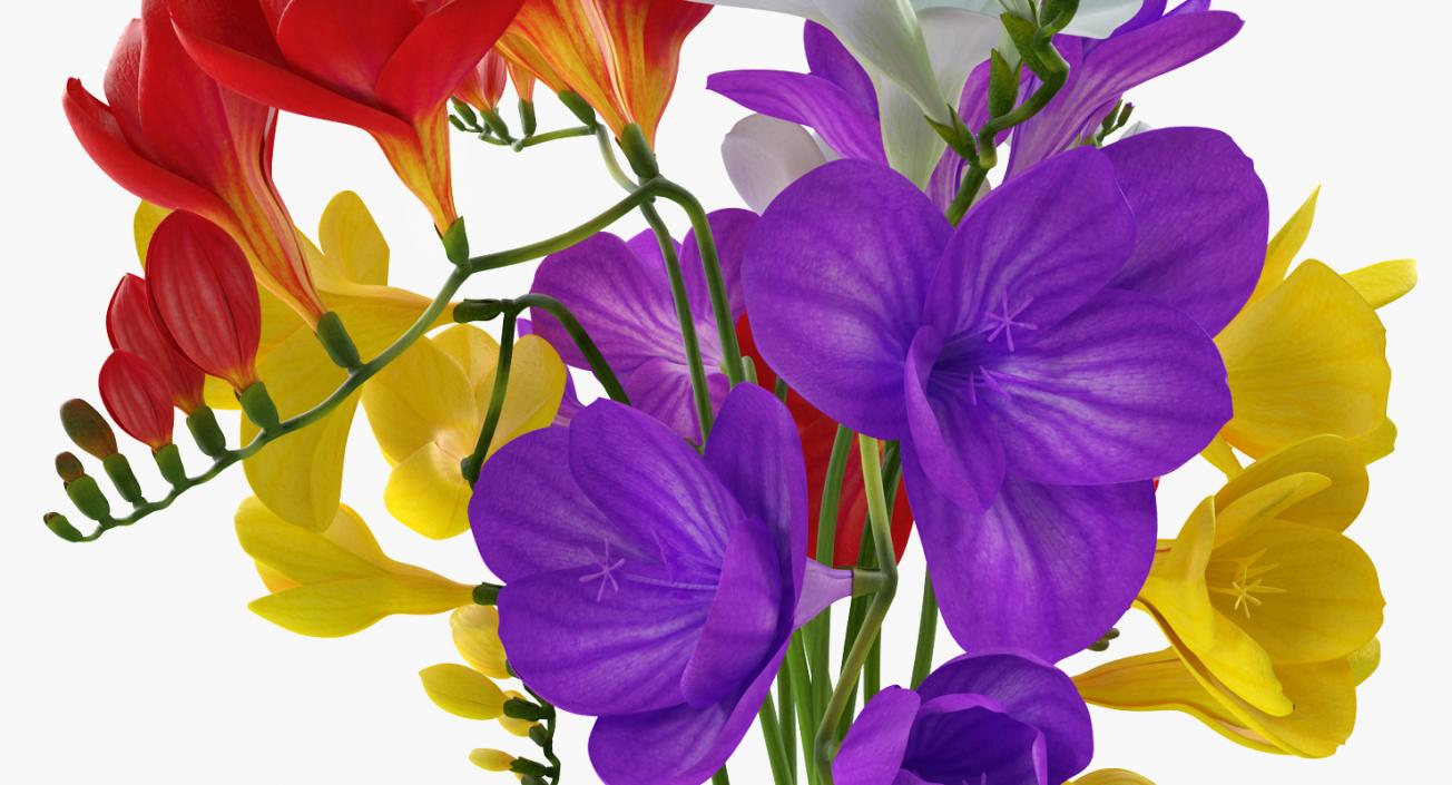 3D model Freesia Bouquet